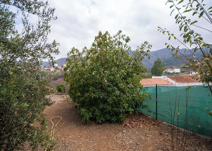 Samar Retreat טרור